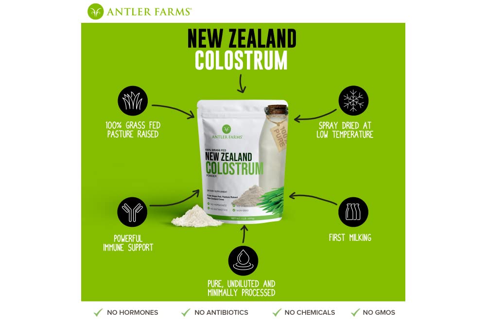 Grass-fed, pasture-raised cows producing colostrum