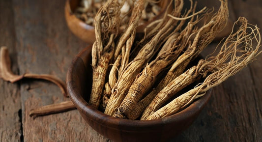 Slow-grown red Panax ginseng roots from Changbai Mountains