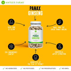 Ginseng extract bottle label highlighting 10% ginsenosides