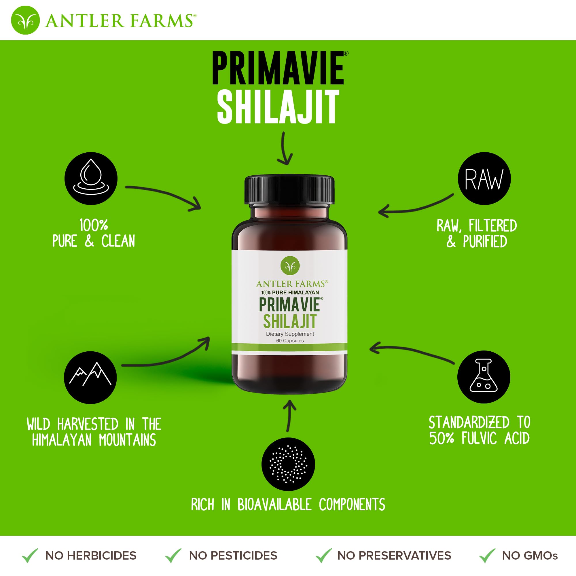 Shilajit resin being filtered and purified