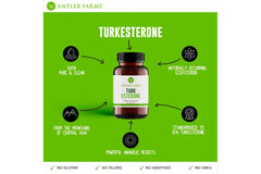 Fitness performance and muscle support icon