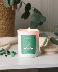 AOOVOO 7oz candle held for scale demonstrating compact long-lasting size