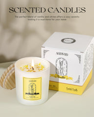 10oz AOOVOO vanilla candle in decorative gift box