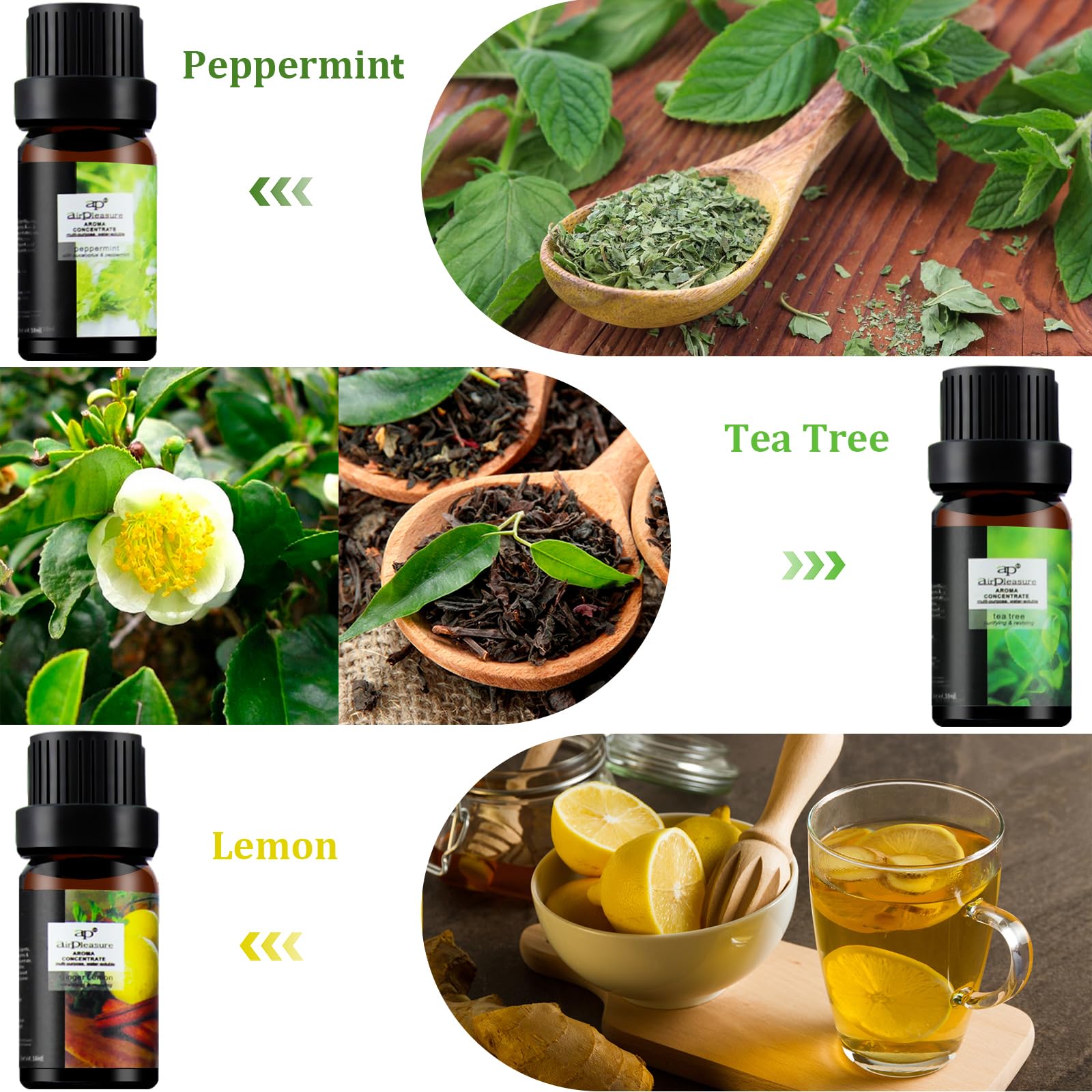 ap airpleasure Rosemary oil bottle for focus-friendly aromatherapy in diffuser and study space.