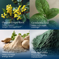 Ingredients: berberine-rich Oregon grape root and berberine sources
