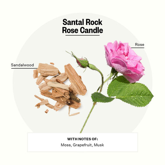 Close-up of three wicks in the Santal Rock Rose candle
