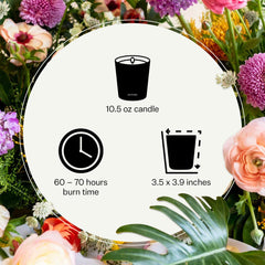 Gold jar candle with Black Cypress fragrance label