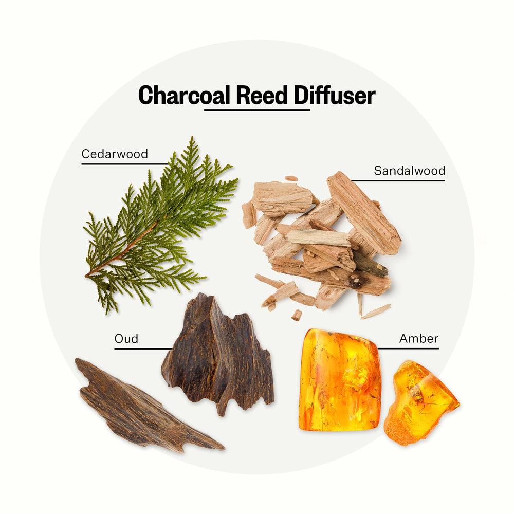 Charcoal Reed Diffuser with 10 rattan reed sticks