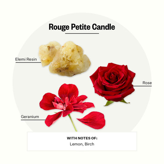 Close-up of Rouge fragrance notes: damask rose, crushed geranium leaf, elemi resin
