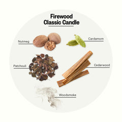 Close-up of Firewood fragrance notes: cardamom and nutmeg