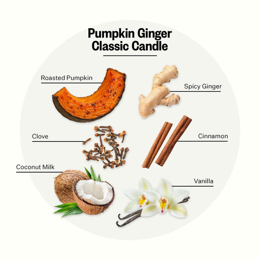 Close-up of Pumpkin Ginger candle fragrance notes: pumpkin, ginger, clove and cinnamon