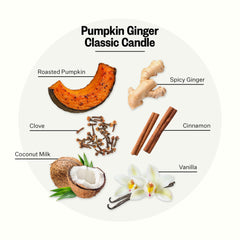 Close-up of Pumpkin Ginger candle fragrance notes: pumpkin, ginger, clove and cinnamon
