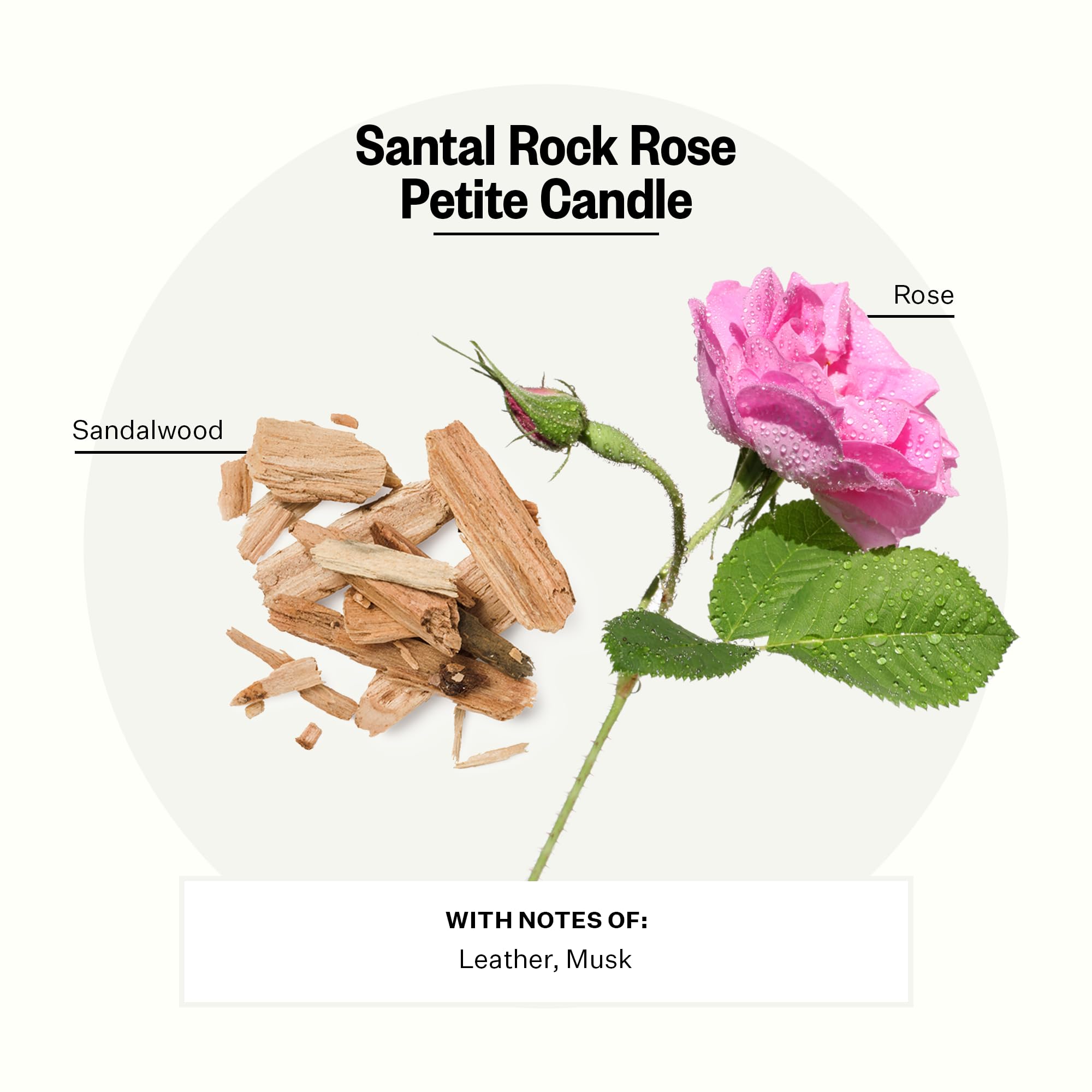 Fragrance notes: sandalwood, rock rose, musk