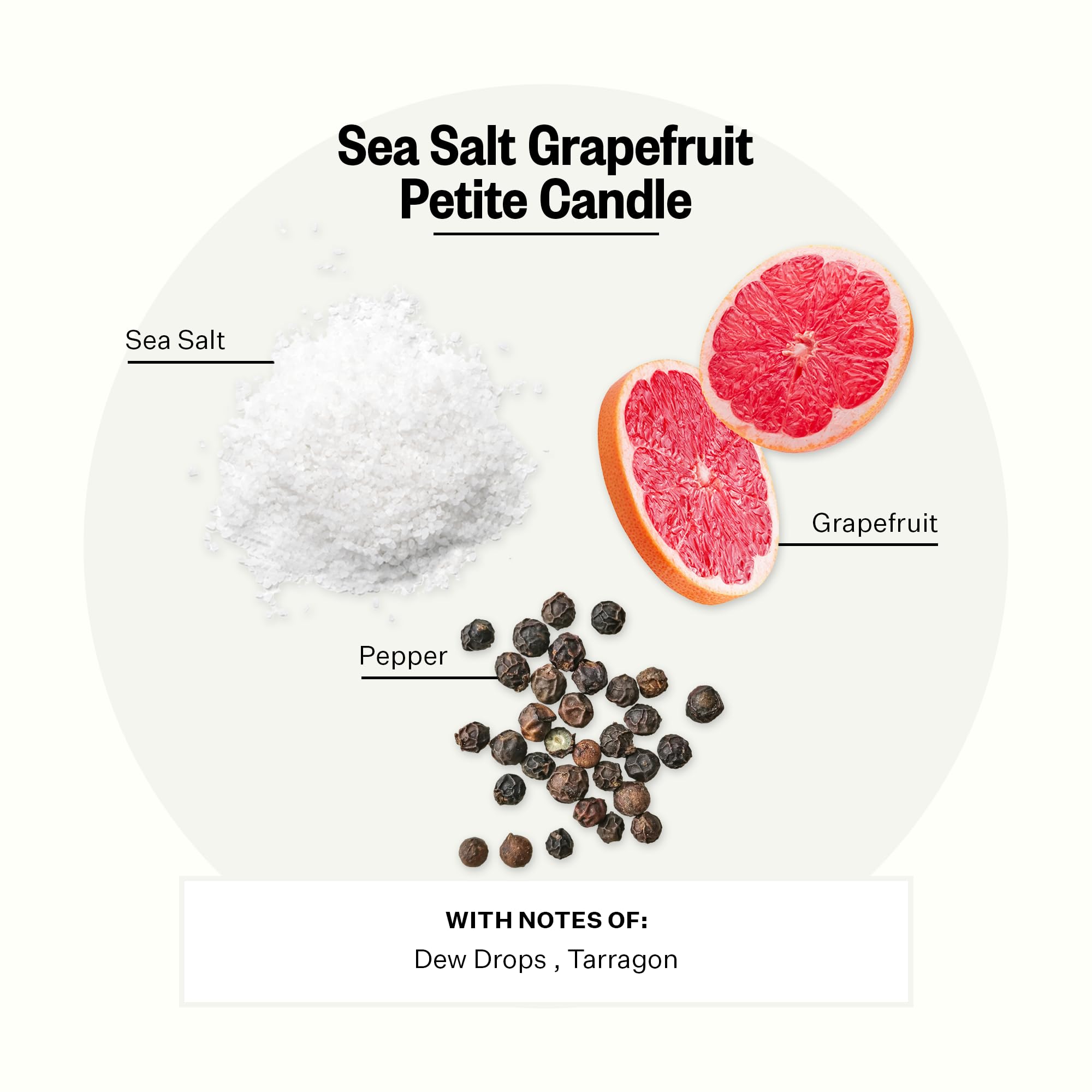 Close-up of Sea Salt Grapefruit fragrance notes with grapefruit and sea salt