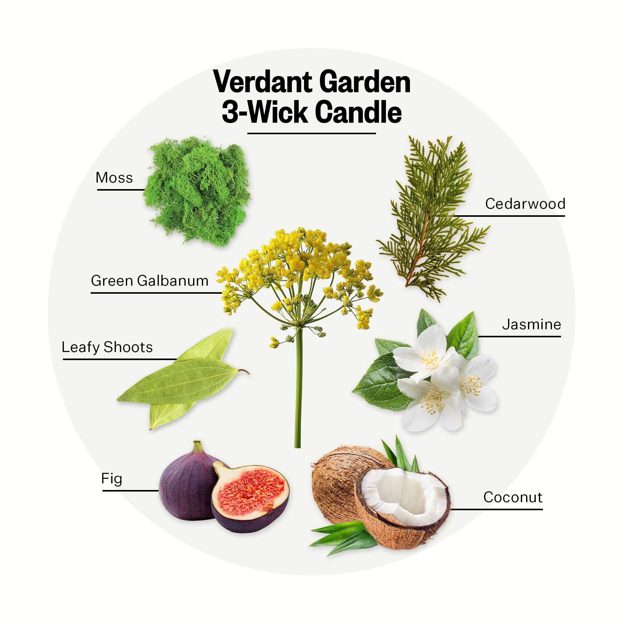 Side view of Apotheke Verdant Garden 26oz 3-Wick Candle