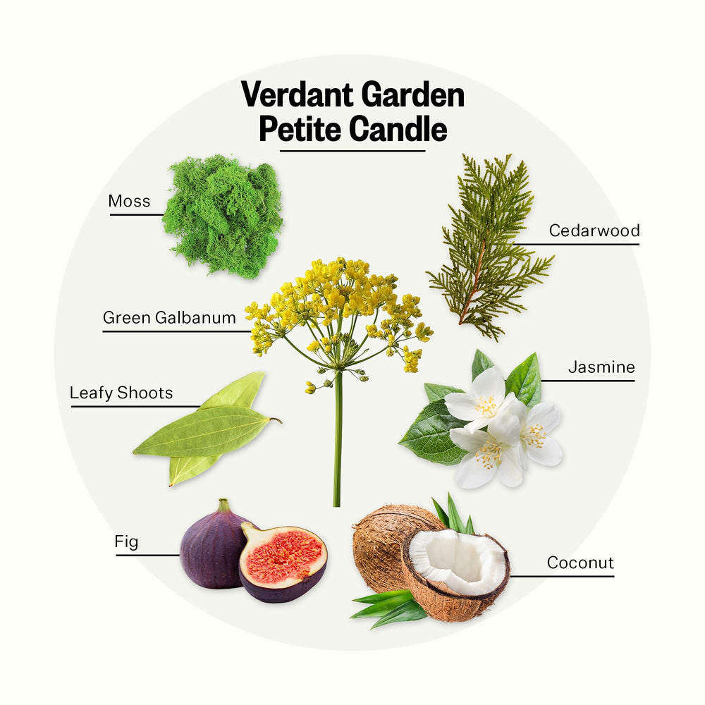 Close-up of Verdant Garden fragrance notes including moss and jasmine