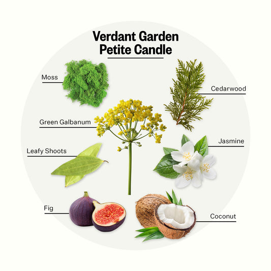 Close-up of Verdant Garden fragrance notes including moss and jasmine