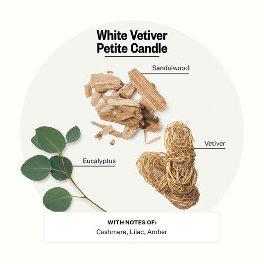 Fragrance notes of White Vetiver: cashmere, eucalyptus, lilac, vetiver, sandalwood