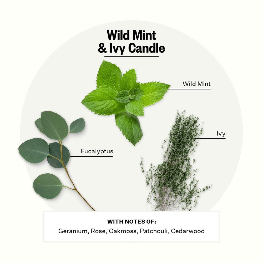 Close-up of wick and jar