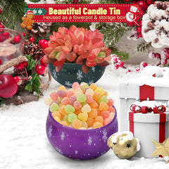 Apple cinnamon scented candle tin