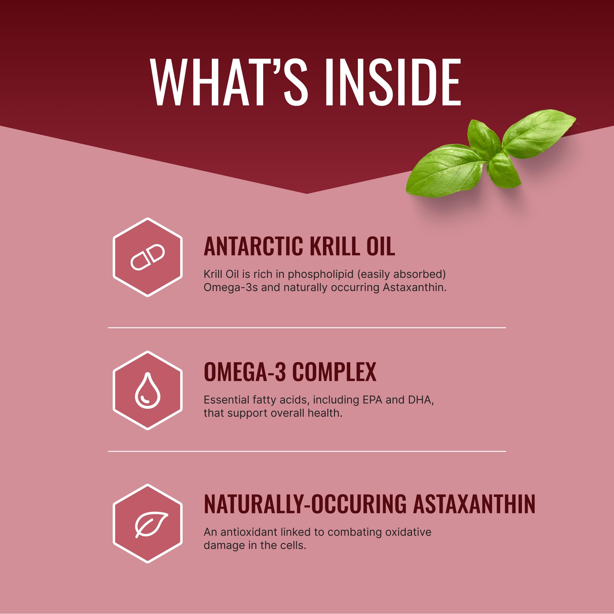 Graphic showing 260mg EPA and 160mg DHA omega-3 phospholipid complex