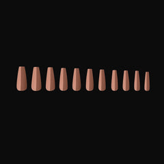 APRES Neutrals box includes 11 sizes 00–9 for precise fit