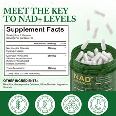 Liposomal NAD capsule close-up