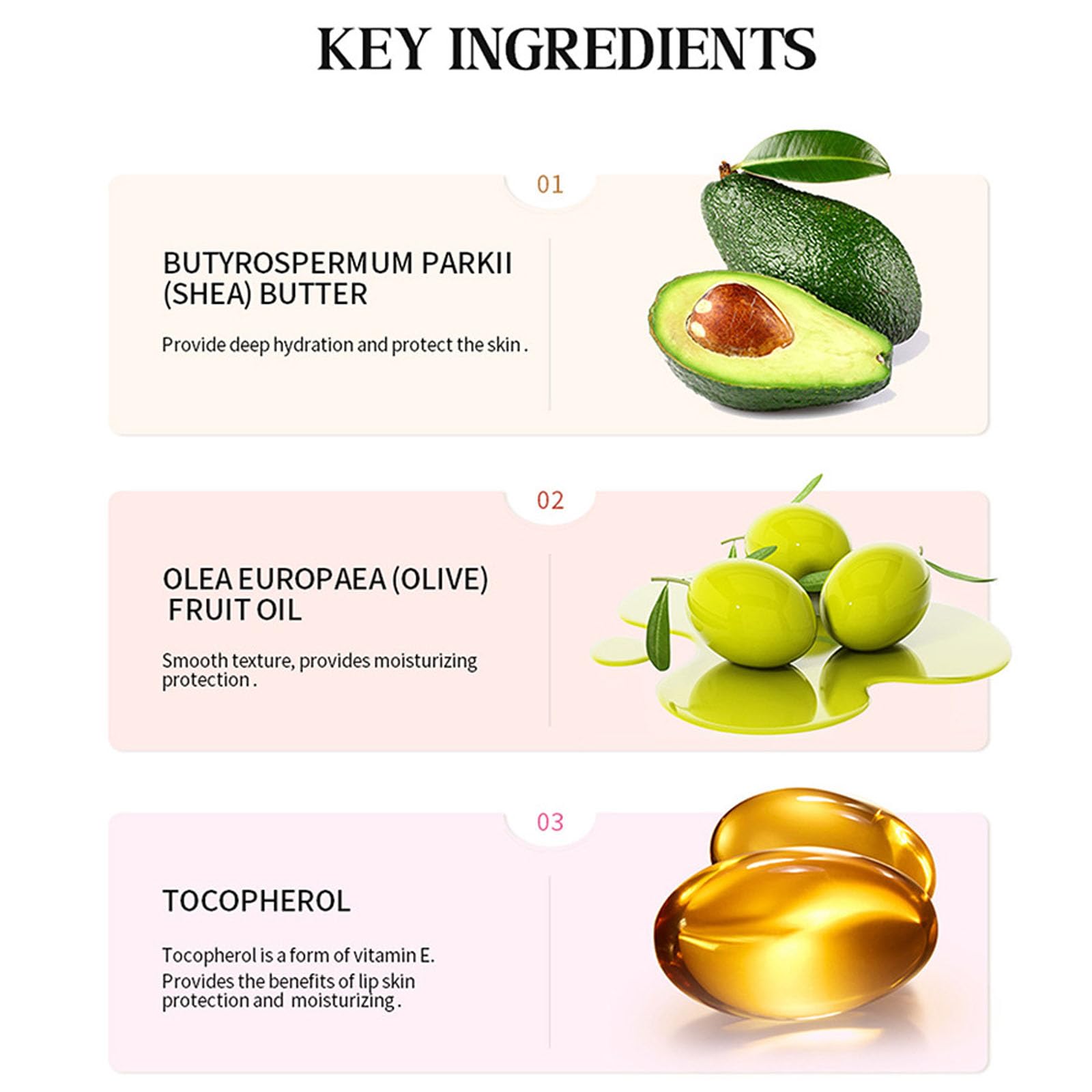 ARCHIDATE lip butter kit image highlighting four flavors