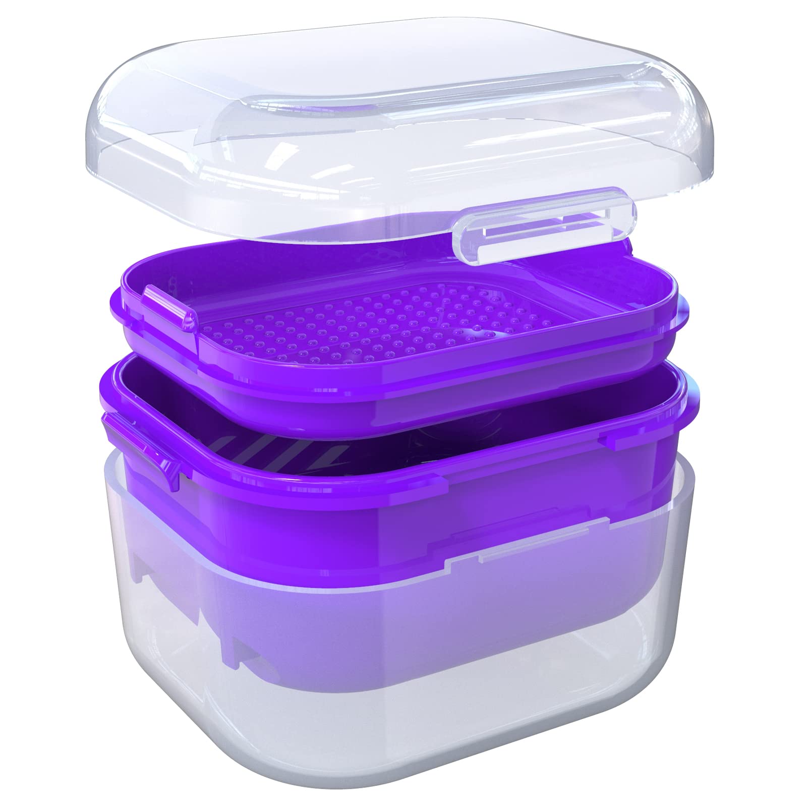Translucent Denture Cup in Dark Purple