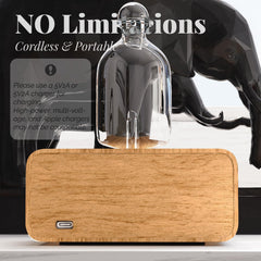 Auto timer function on Aria waterless diffuser