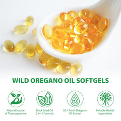 Digestive support and overall wellness concept with ingredients