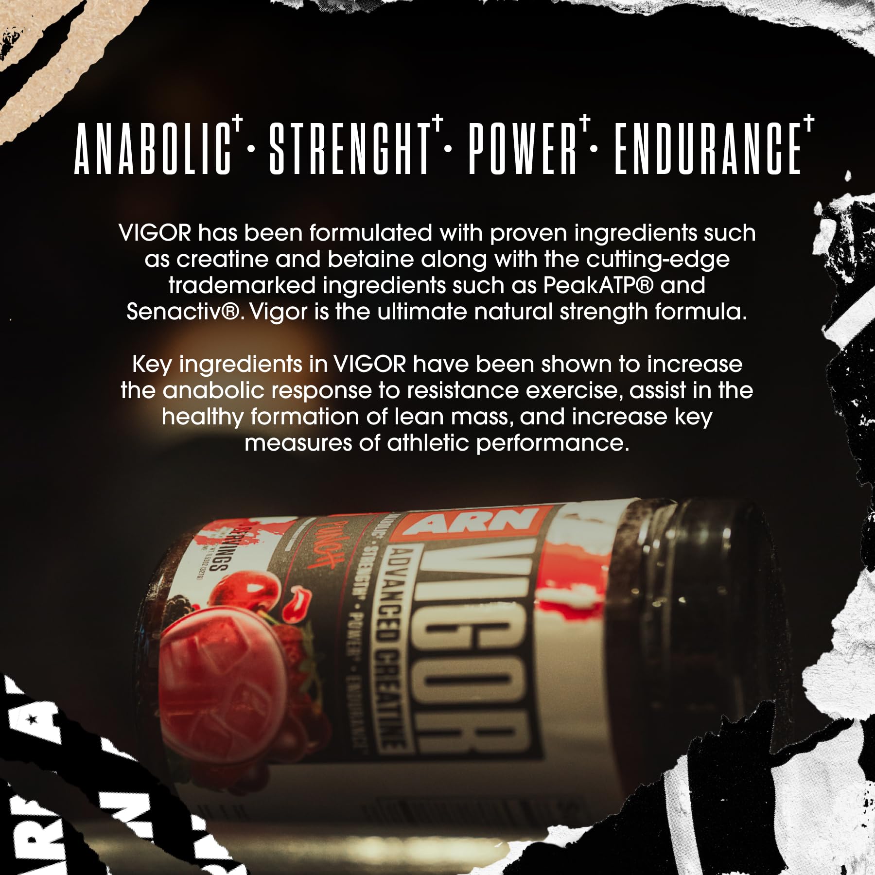 Serving scoop beside Arms Race Nutrition Vigor bottle