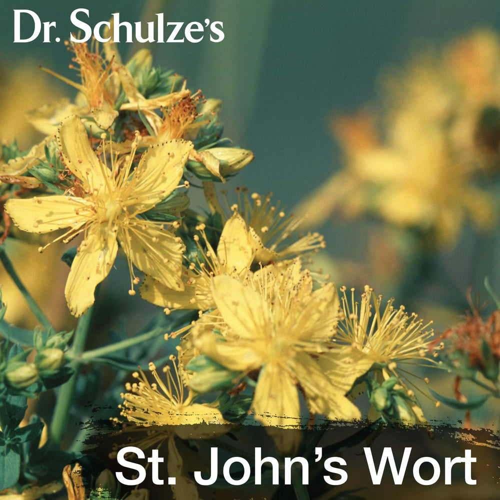 Arnica, Calendula and St. John's Wort Flowers