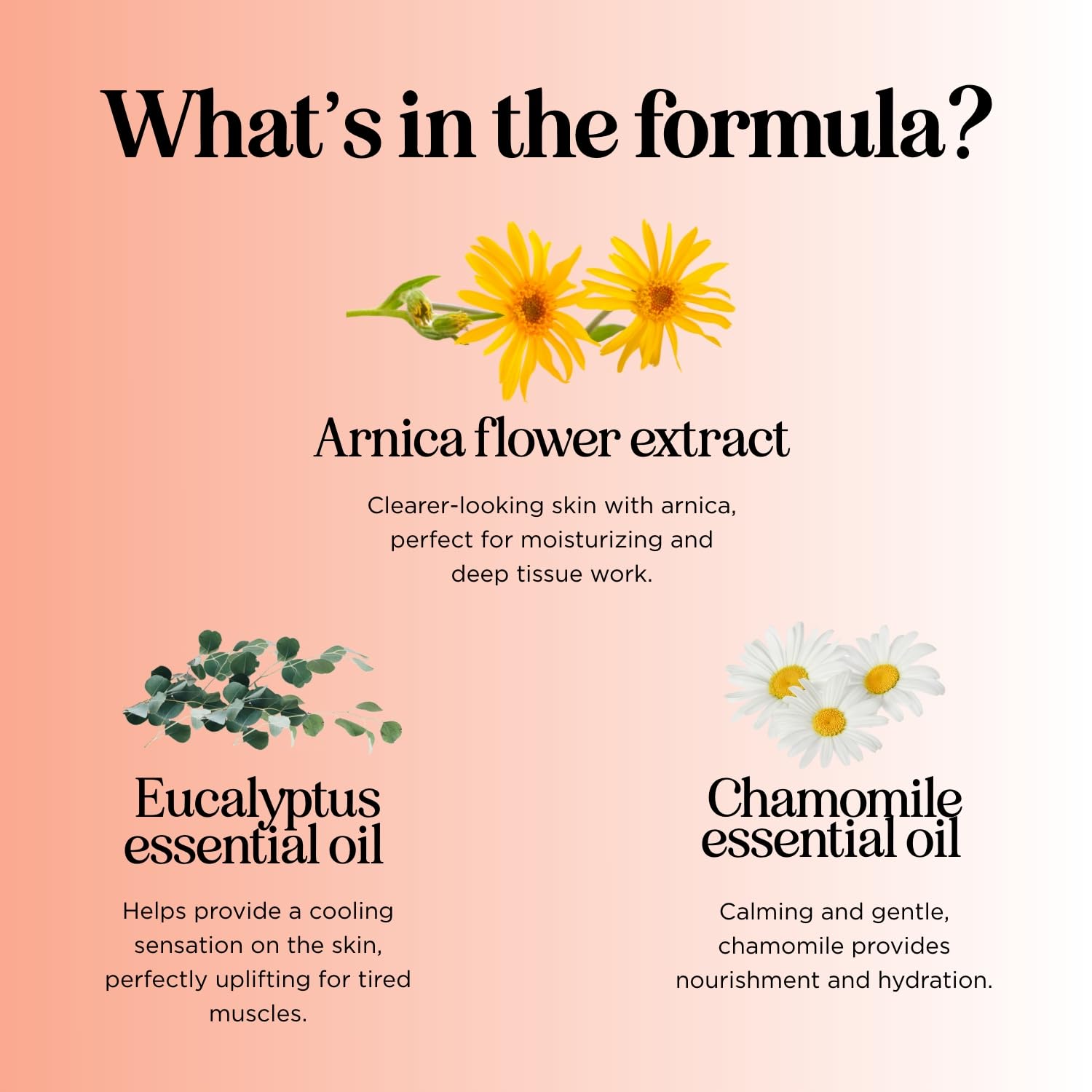 Ingredients visuals: sweet almond, rosemary, eucalyptus, chamomile, lavender, sunflower, olive oils