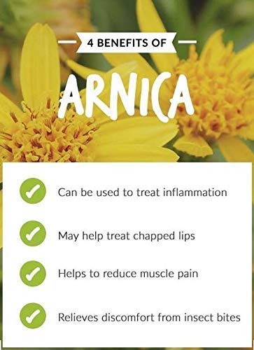 Close-up of Salvia amber bottle label for Arnica Montana essential oil
