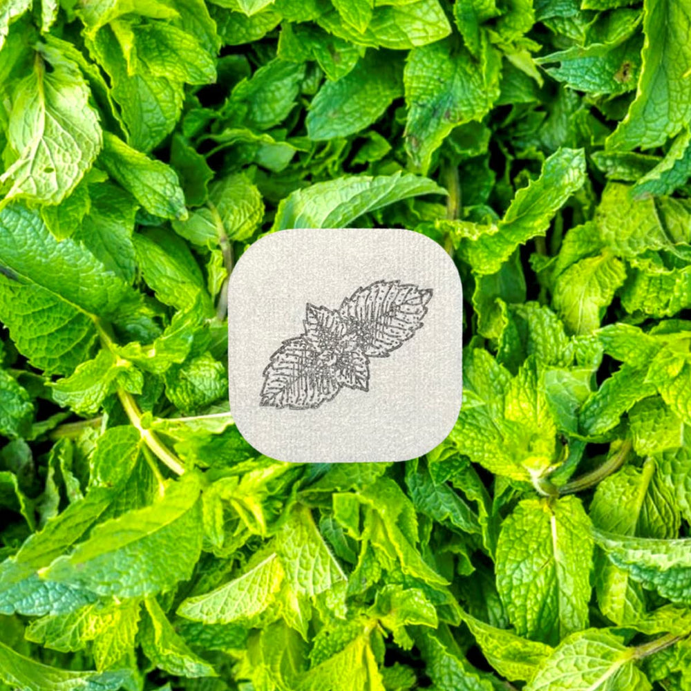 Pack of 12 Aroma Stickers Spearmint sheets