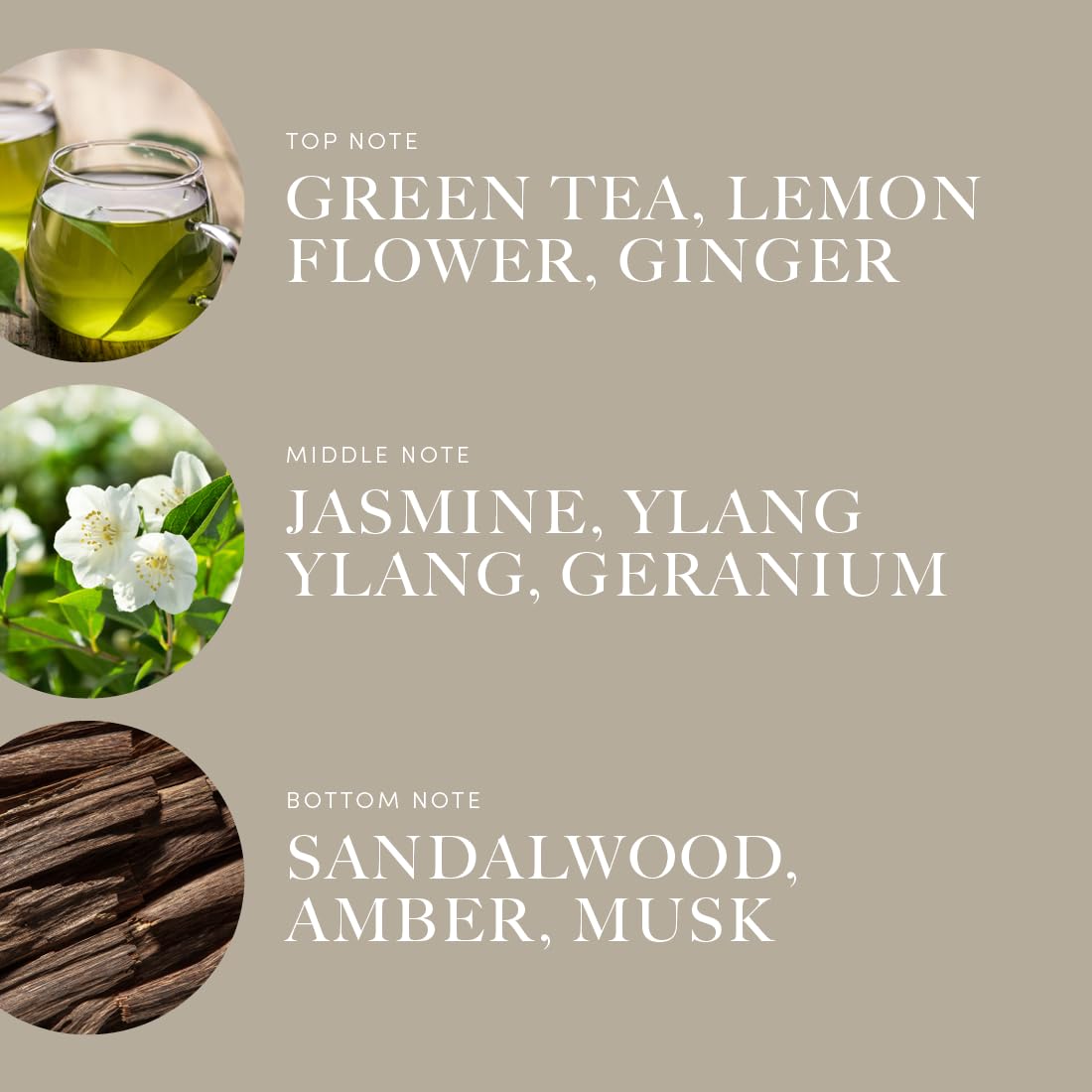 Graphic of top notes: Green Tea and Lemon Flower