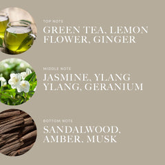 Graphic of top notes: Green Tea and Lemon Flower