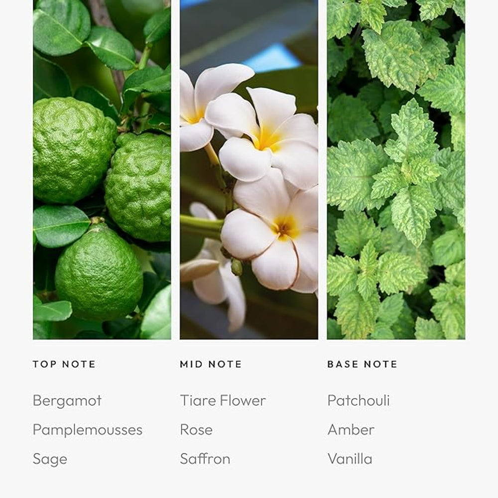 Aroma360 Black Diffuser Oil Sage-Tiare-Saffron close-up of fragrance notes