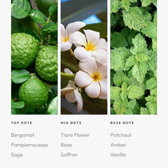 Aroma360 Black Diffuser Oil Sage-Tiare-Saffron close-up of fragrance notes