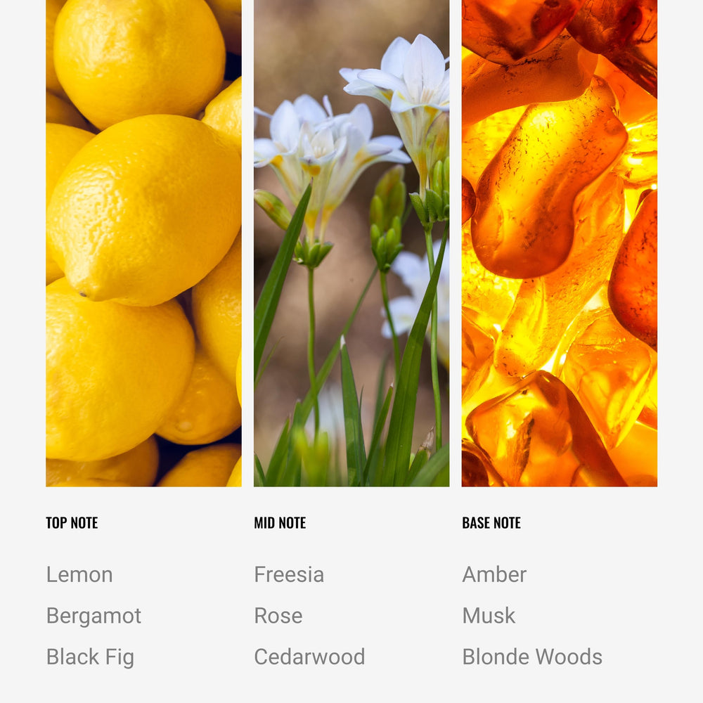 Aroma360 Black Velvet fragrance notes label reveals citrus, fig, and florals.