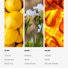 Aroma360 Black Velvet fragrance notes label reveals citrus, fig, and florals.