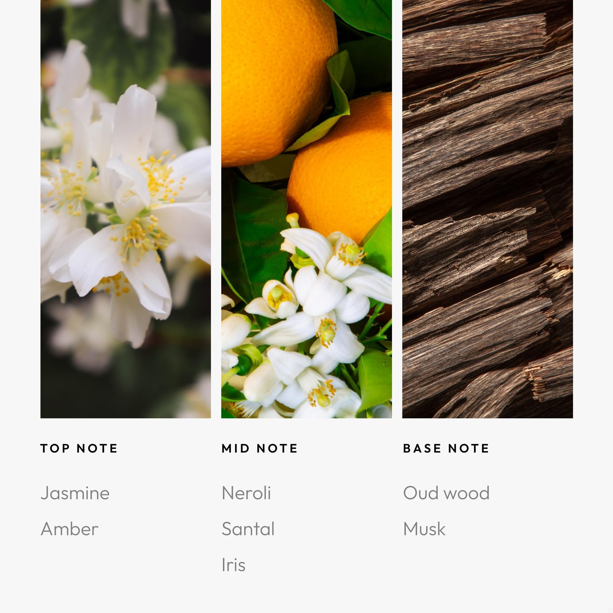 Aroma360 Blue notes chart shows jasmine, amber, iris for signature scent