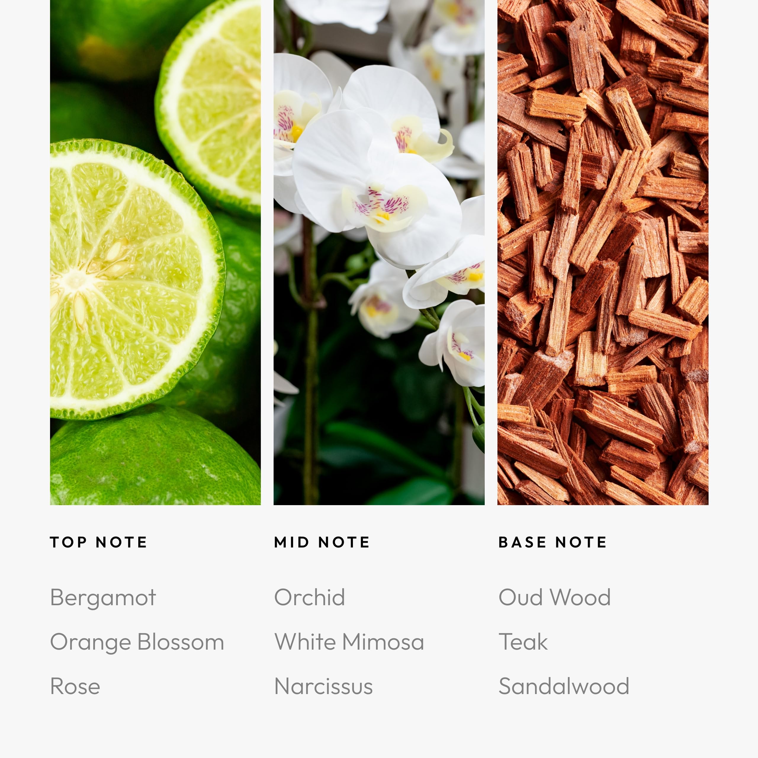 Luxurious glass diffuser oil bottle on neutral background