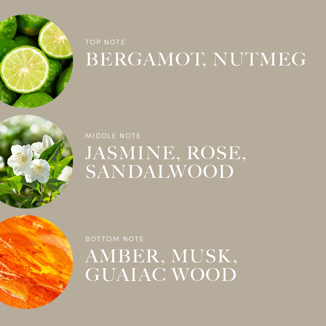 Display of Aroma360 Disney Reflection Fragrance Oil collection