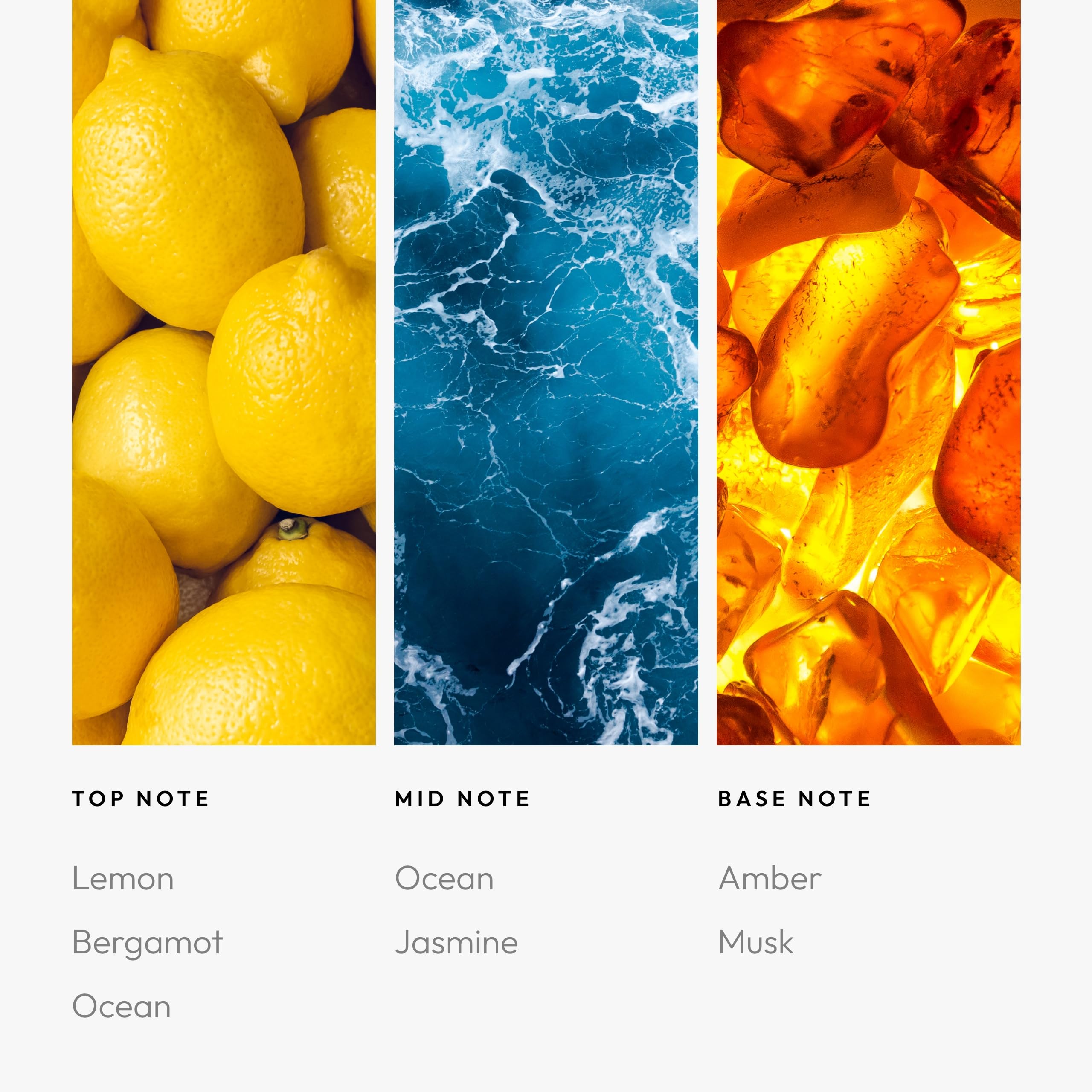 Escapade Fragrance Oil diffuser usage