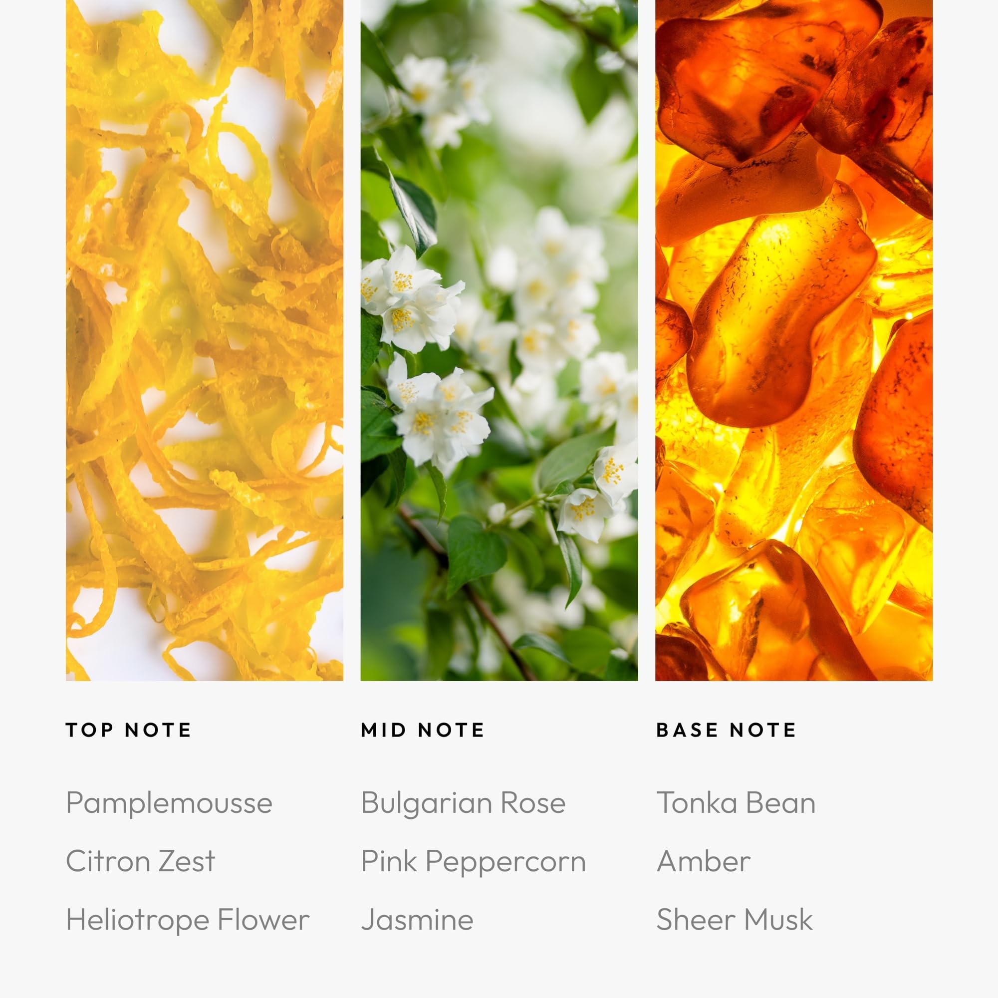 Aroma360 Fly cotton-core insert makes swapping the scent quick and clean.