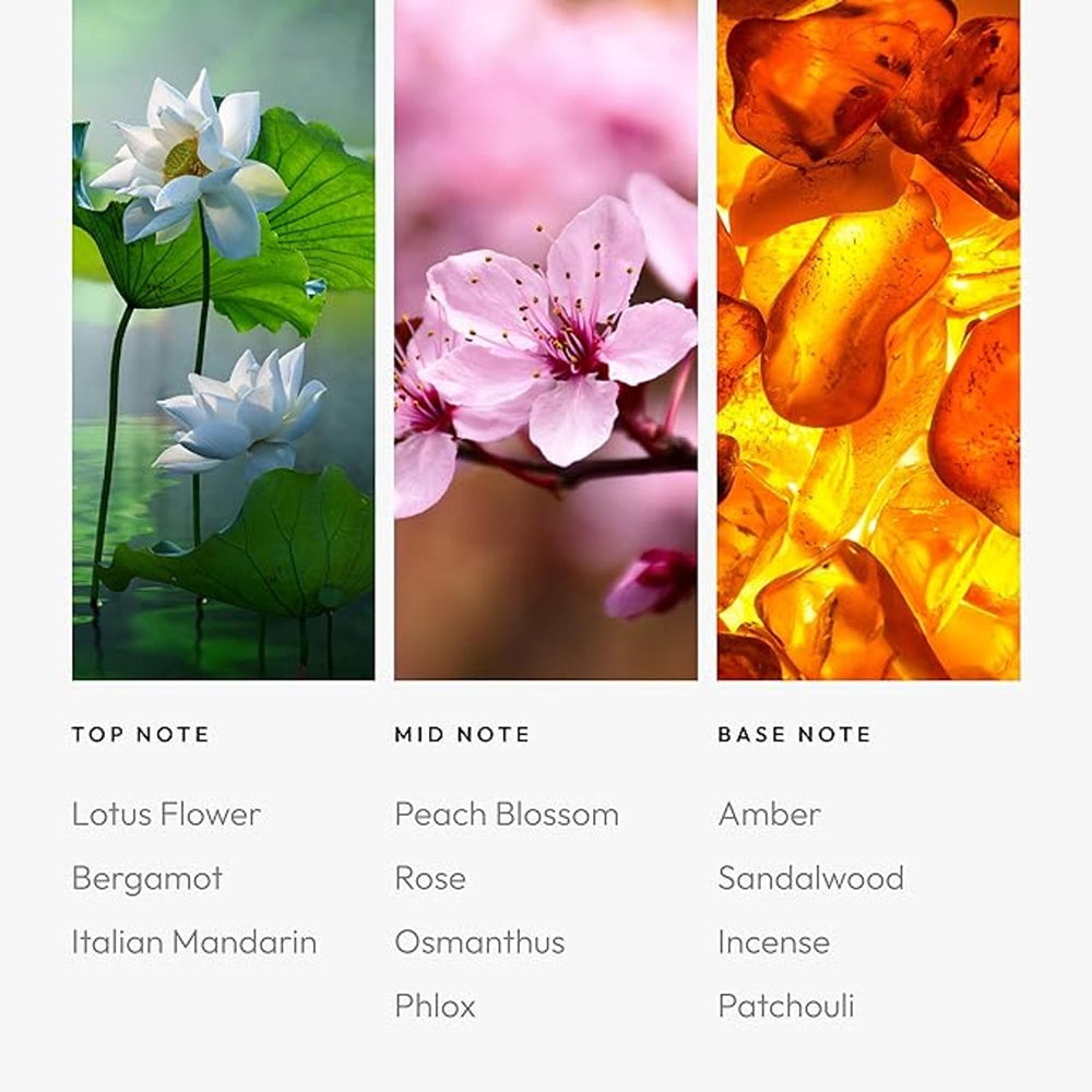 Aroma360 Patchouli note provides earthy depth for calming spaces