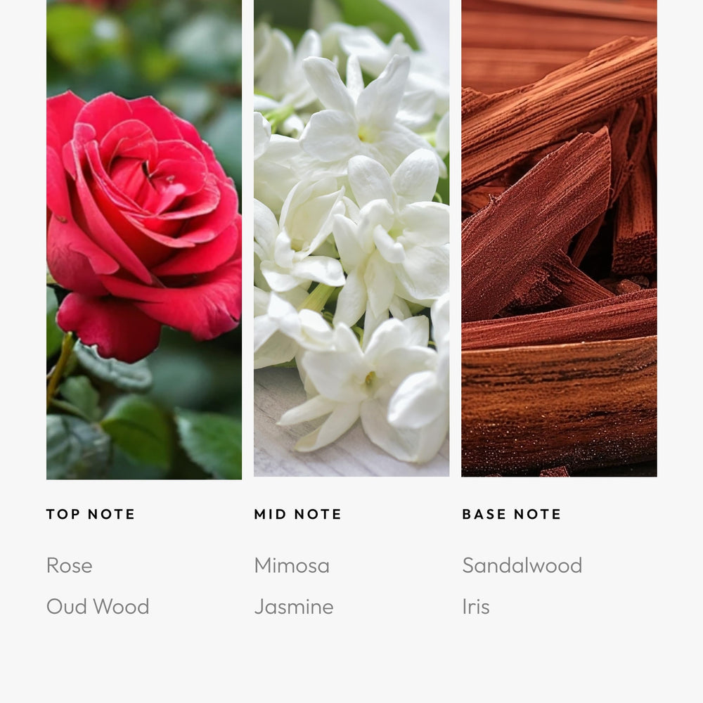 Flat lay of fragrance oils and diffusers showing luxury scent