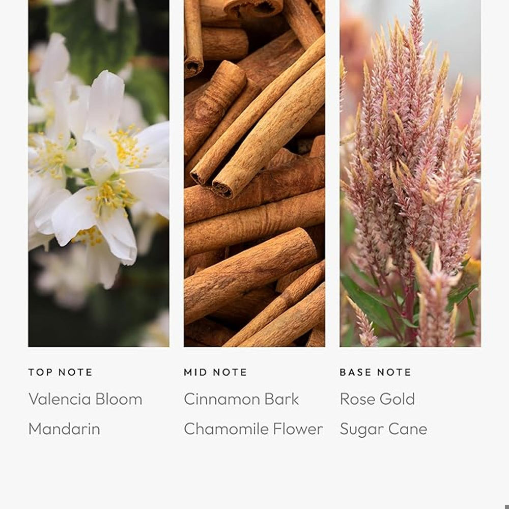 Aroma360 Leo Pro-Pod with diffuser set enhances living room ambiance